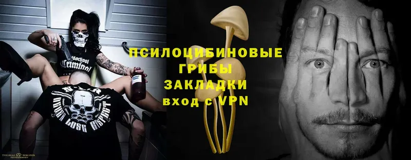 Галлюциногенные грибы MAGIC MUSHROOMS  где можно купить   Белоярский 